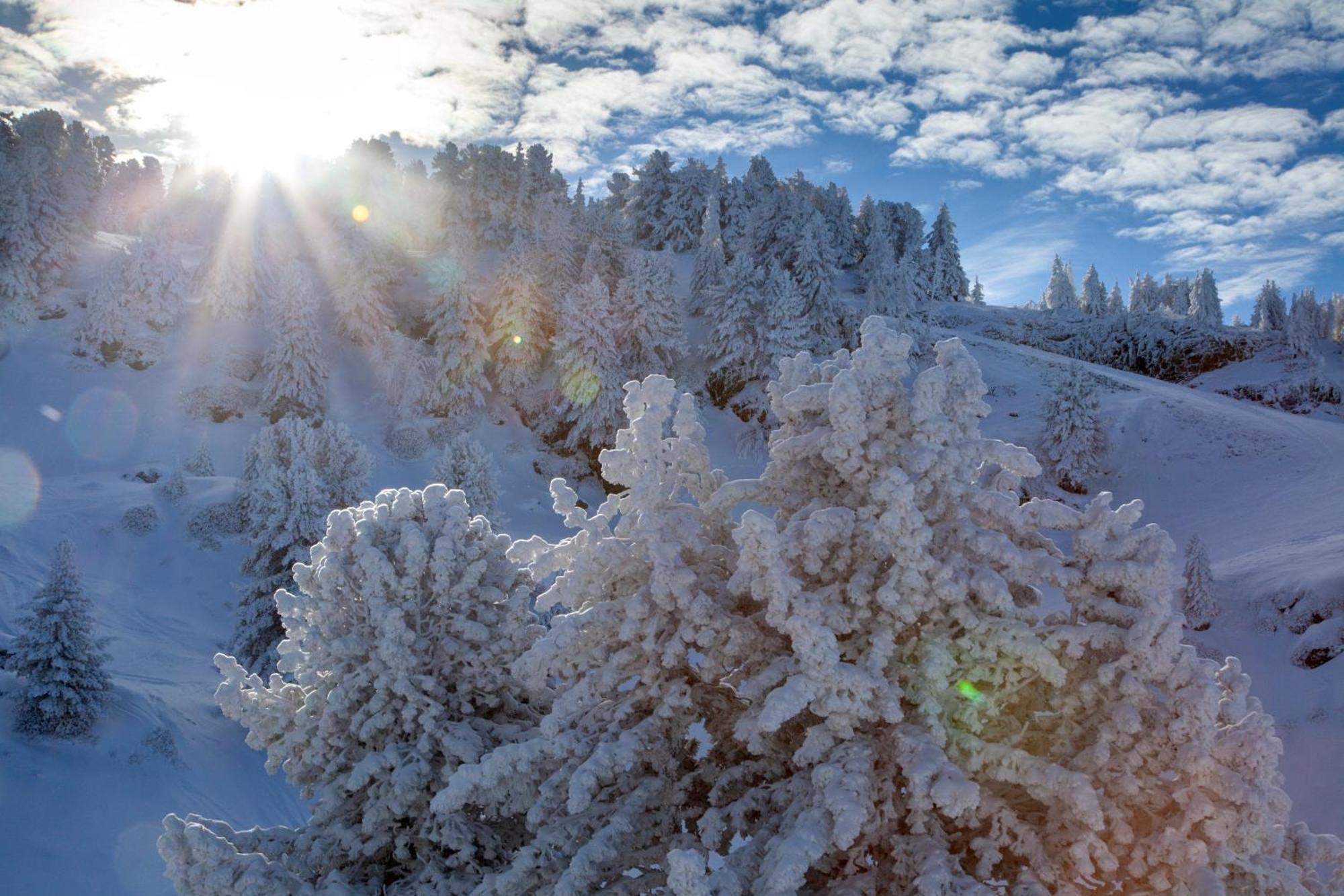 Studio, 2 Personnes, Les Balcons De Recoin Chamrousse Exterior foto